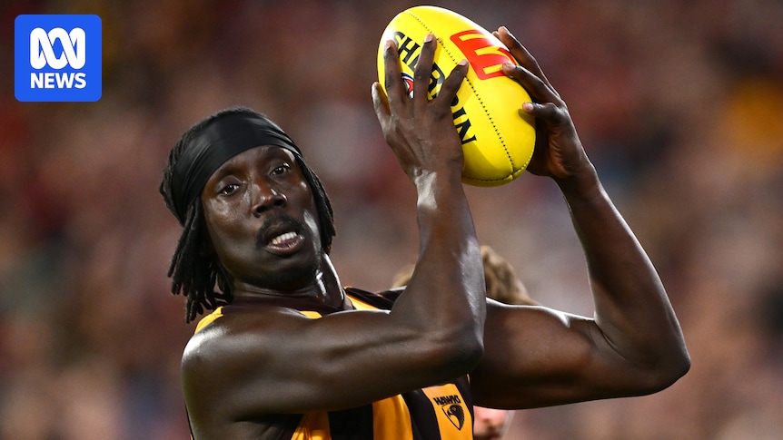 AFL and Hawks stand behind Mabior Chol after racial abuse on social media