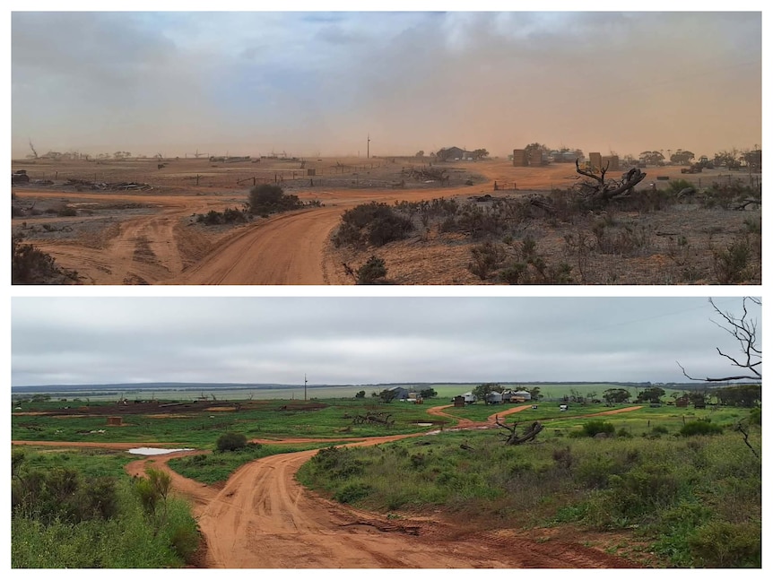 Two images of the same location, one of a dry and dusty road and the next green and lush.