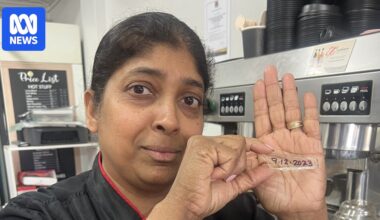 Mount Isa cake decorator stops reporting vandalism because 'nothing gets done'