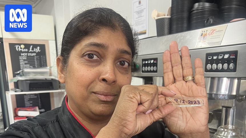 Mount Isa cake decorator stops reporting vandalism because 'nothing gets done'