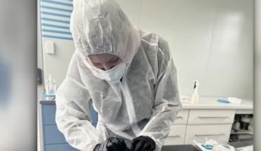 Australia H5N1 bird flu: 13 possibly infected seabirds spark urgent testing from Geraldton to SA