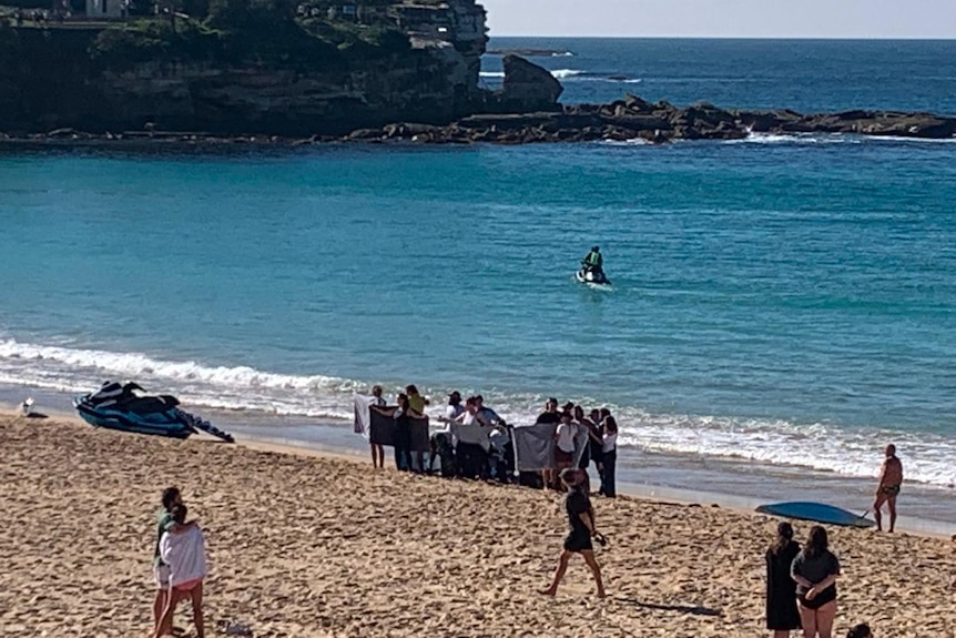 Emergency services at Coogee Beach after shark attack
