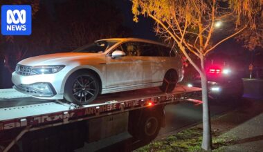 Former professional cyclist Rohan Dennis reported for driving while disqualified, ABC understands