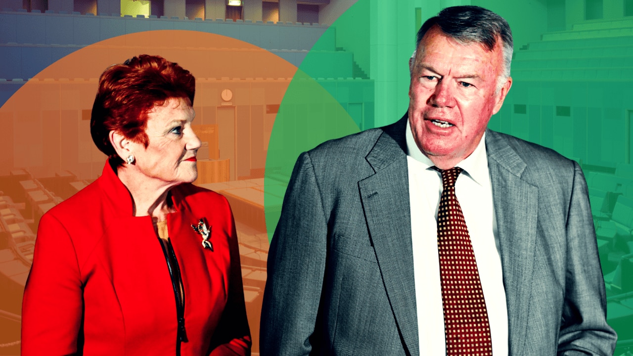 New One Nation MP David Farley given a 'please explain' by Pauline Hanson after siding with Teals and Greens in parliamentary vote