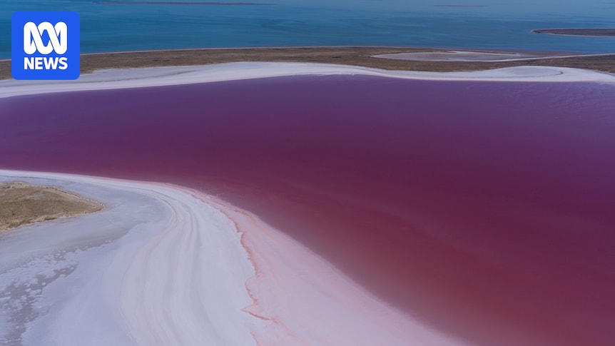 Water levels at Kati Thanda-Lake Eyre 'best' locals have seen