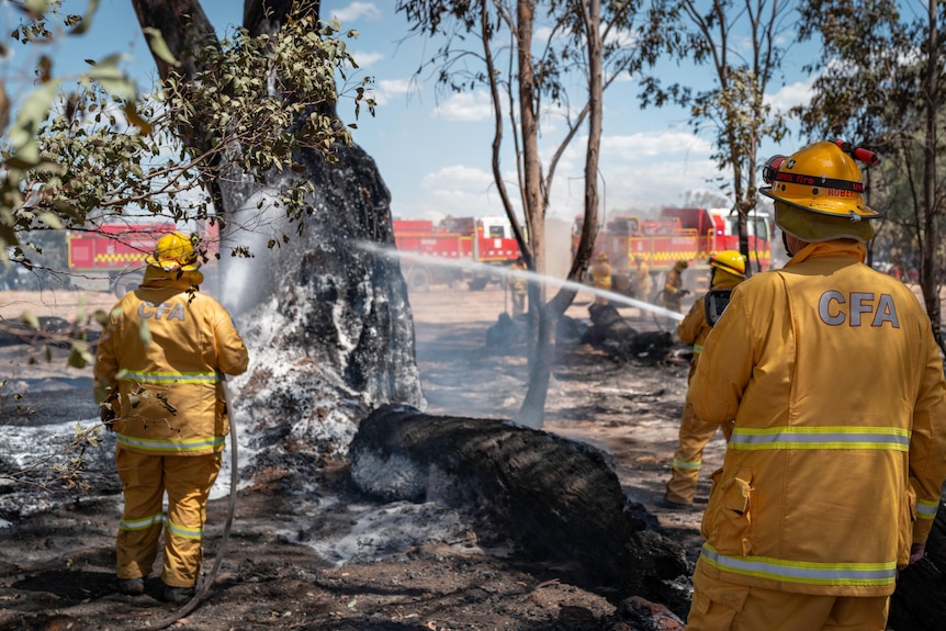 Firefighters battling the Ravenswood fire in Moyreisk last week.