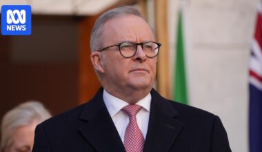 Ernst and Young staff allegedly access Anthony Albanese's private banking information