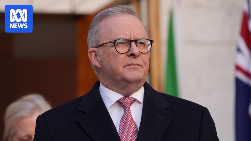 Ernst and Young staff allegedly access Anthony Albanese's private banking information