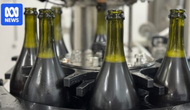 Beer follows wine industry's lead with terroir-driven ales