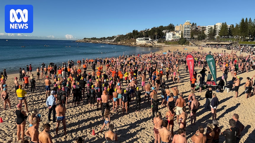 Community reeling from shark attack returns to Coogee Beach for swim-out supporting local mother