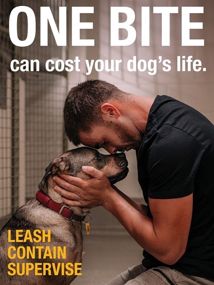 A man hugs his dog, the title reads one bite can cost your dog's life.
