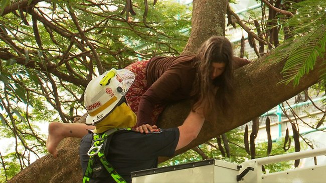 The woman is lowered from the tree in a cherry picker after spending almost 24 hours clinging to branches.