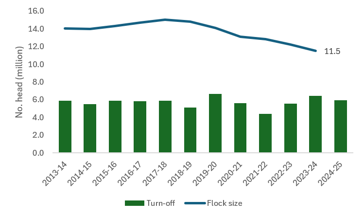 Sheep flock decrease