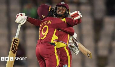 A graphic saying 'schedule and results' to promote a page around the Women's T20 World Cup