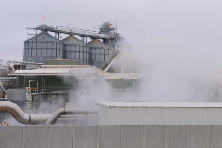 The GrainCorp factory in Numurkah emitting smoke.
