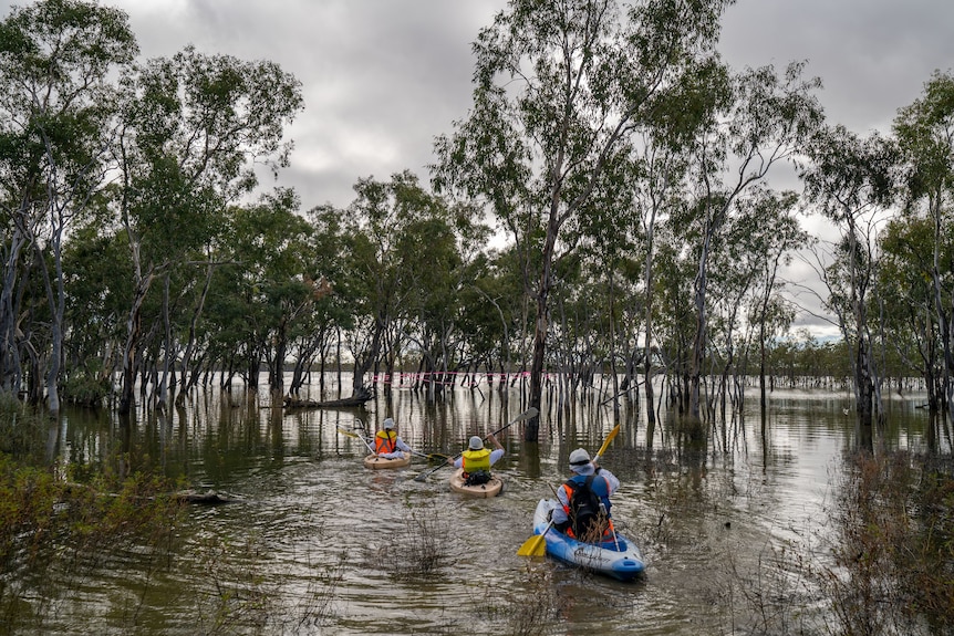 Three people in canoes with safety vests, on a lake with trees in the background