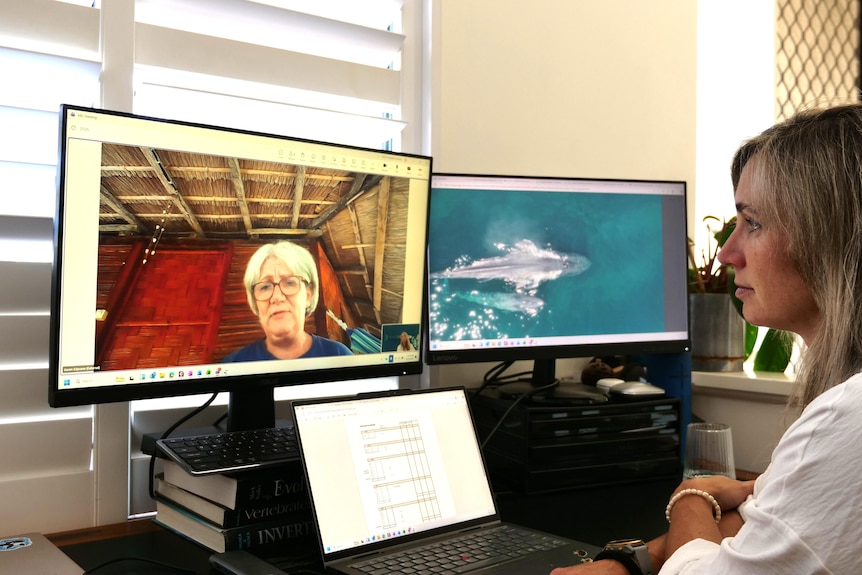 Two people conversing via a computer