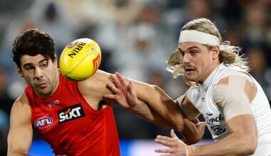 Geelong Cats vs Gold Coast SUNS LIVE: AFL round 14 2026, scores, results, odds, stats and start time from GMHBA Stadium