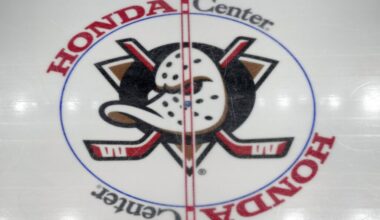 Ducks Acquire #28 From Golden Knights, Select Marcus Nordmark – Pro Hockey Rumors