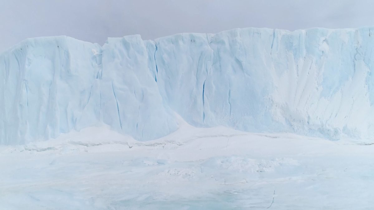 Antarctica at the National Museum