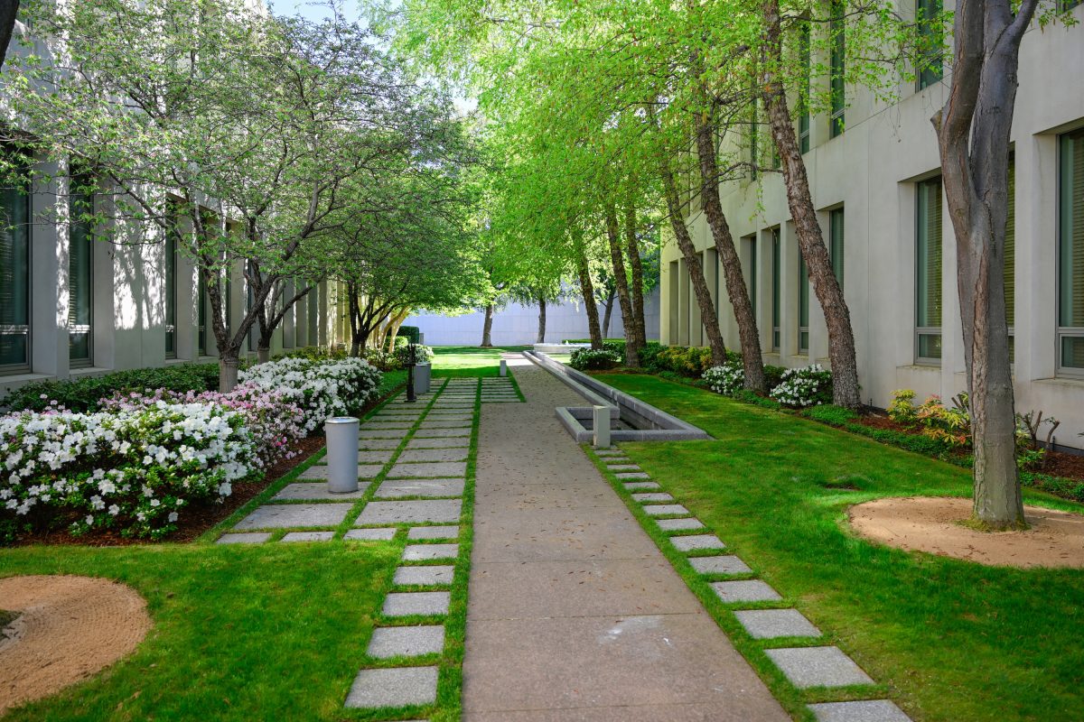 Parliament House gardens