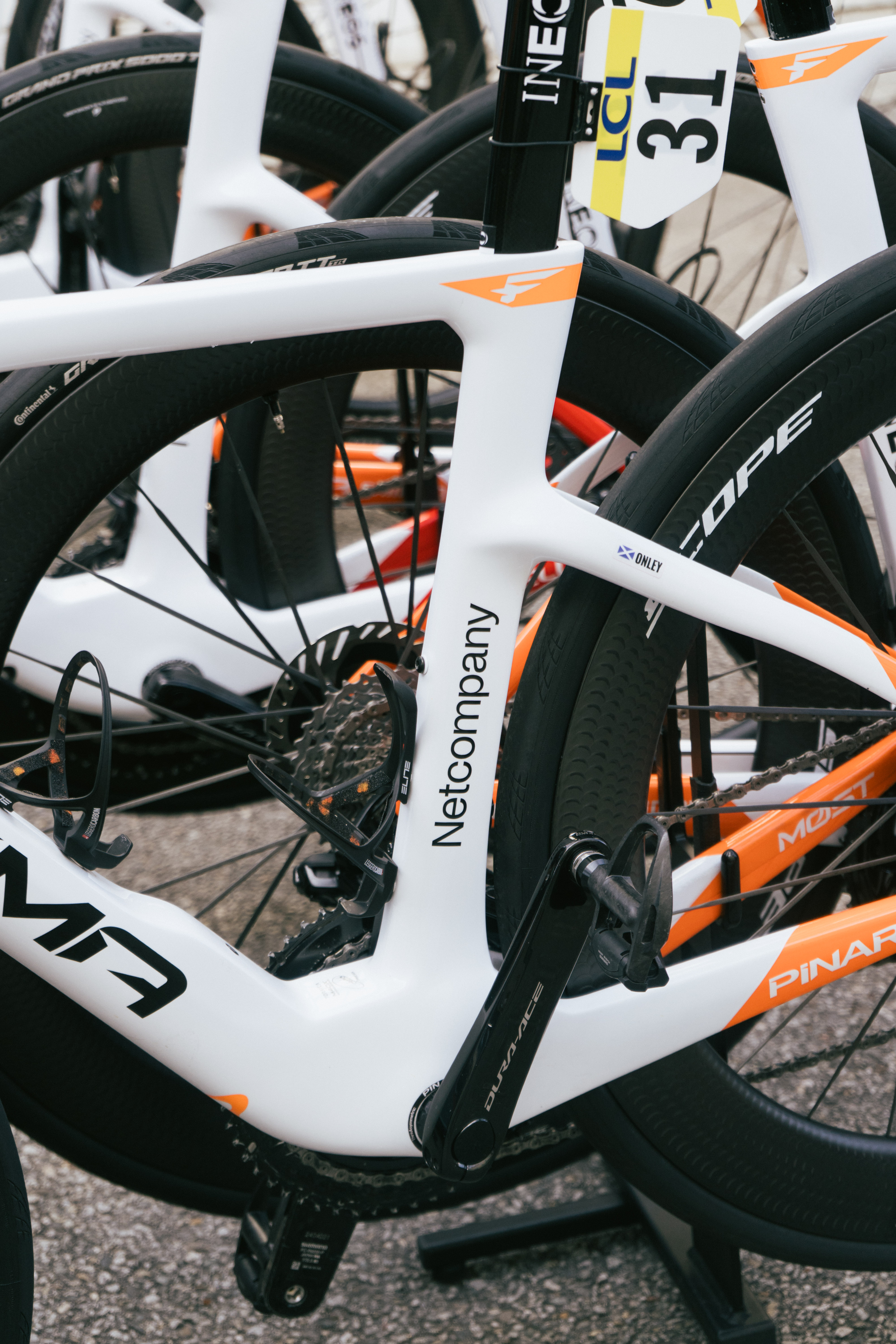 Dogma F