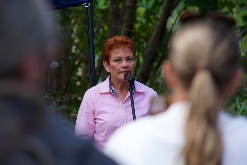 pauline hanson as seen from the crowd as she addresses bbq attendees