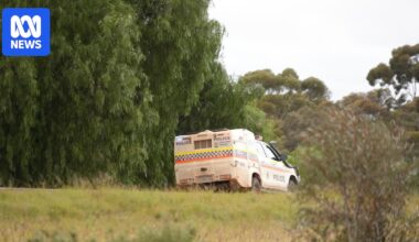 Homicide investigation after woman's body found near Kalgoorlie-Boulder highway