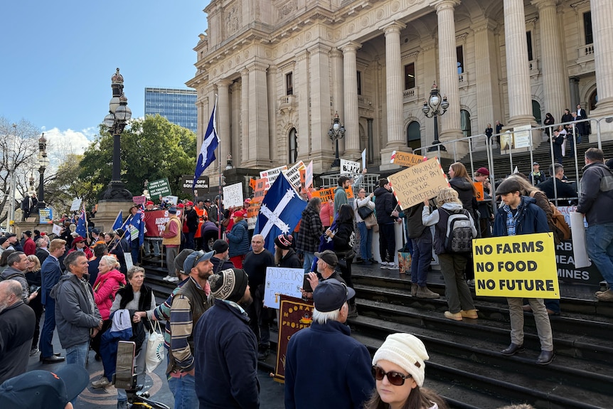 people standing on the steps of Victoria's parliament holding placards that say " no farms, no food, no future".
