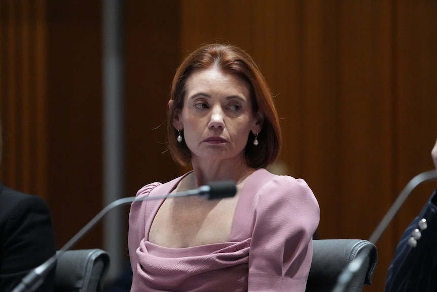 A red-haired woman in a pastel-coloured dress sits among other formally dressed people in a wood-panelled room.