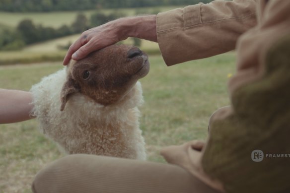 A scene in which Hugh Jackman’s George lovingly strokes the sheep Lily began with the actor and a puppet.  