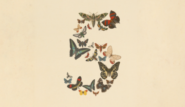 The number five composed of several butterflies