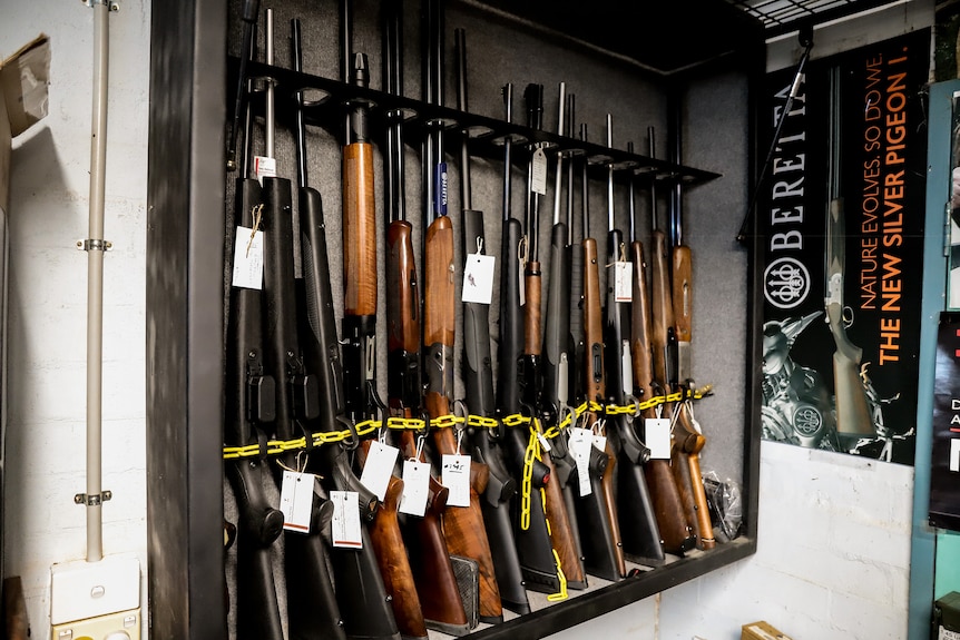 An open cabinet with a rack of rifles sitting with their barrel facing up. There is a bar locking them in at the top and a chain