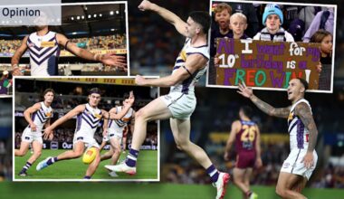 Fremantle Dockers, AFL 2026: Why this year’s Dockers team is giving fans hope for a first-ever premiership