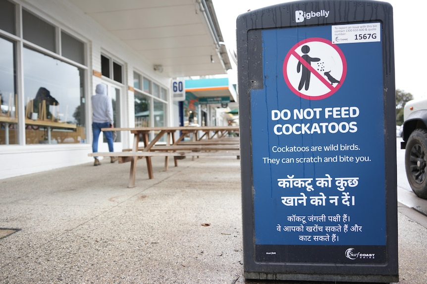 A man walks past wooden benches and a blue sign on a black bin says "Do not feed cockatoos" in several languages.