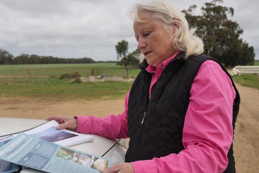 A woman looks through documents on the hood of a car in the countryside