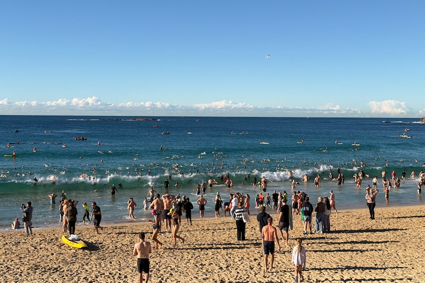 Swimmers stand watching on the sand as others enter the water on a bright morning.