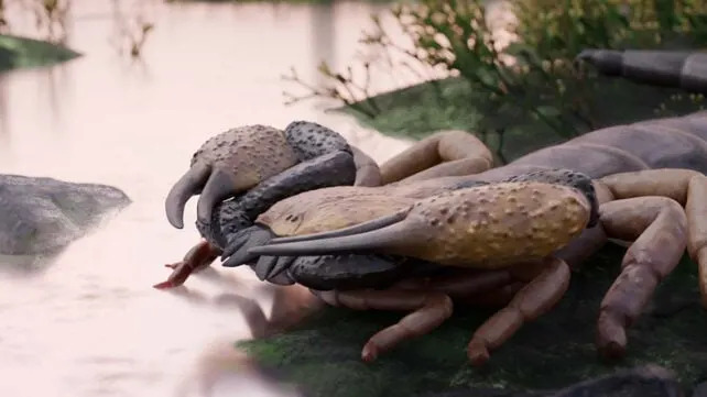 Praearcturus gigas