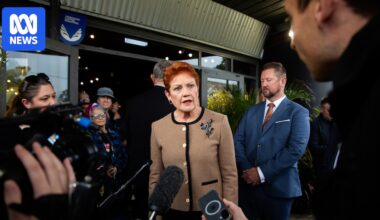 Emotional Hanson blames Abbott for electoral fraud 'witch hunt'