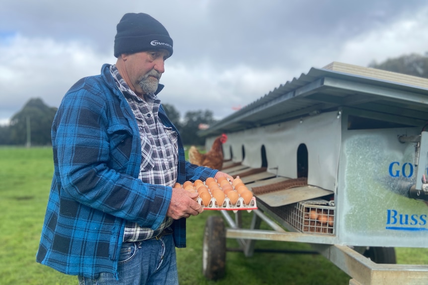 A man with beanie holding tray of chicken eggs