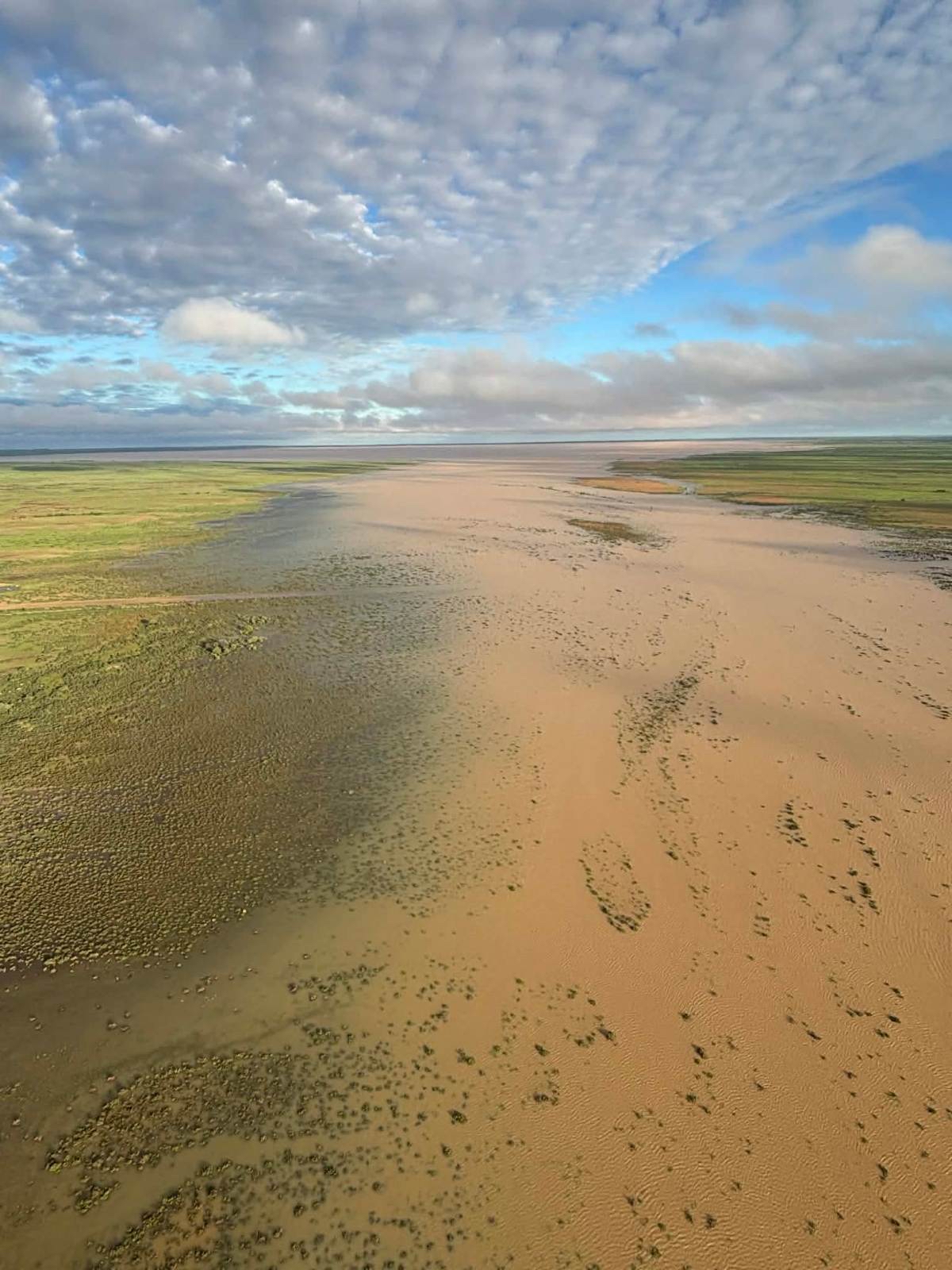 A birds-eye-view of green flat land, covered in brown floodwater