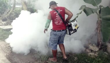 Climate concerns after worst dengue season in years