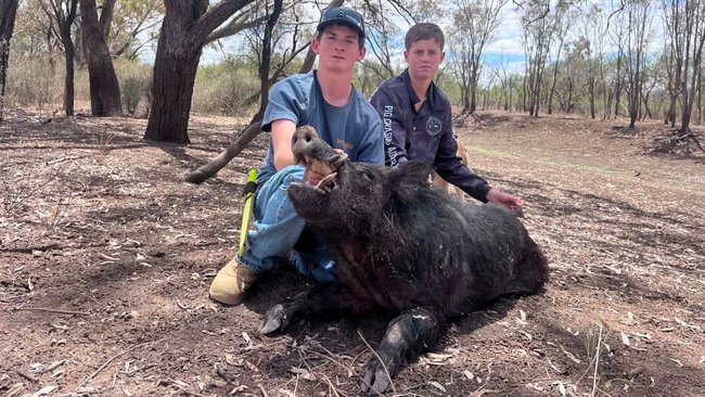 James Sutton with son Jarryd and friend (pictured) doing their part in bringing down the feral pig population in NSW’s central west.