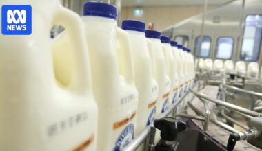 New technology developed in Canberra could prevent 70 million tonnes of milk waste each year