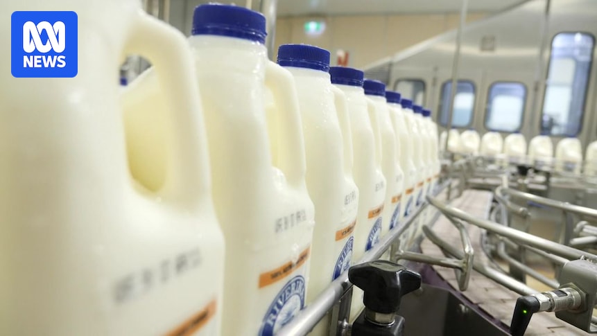New technology developed in Canberra could prevent 70 million tonnes of milk waste each year