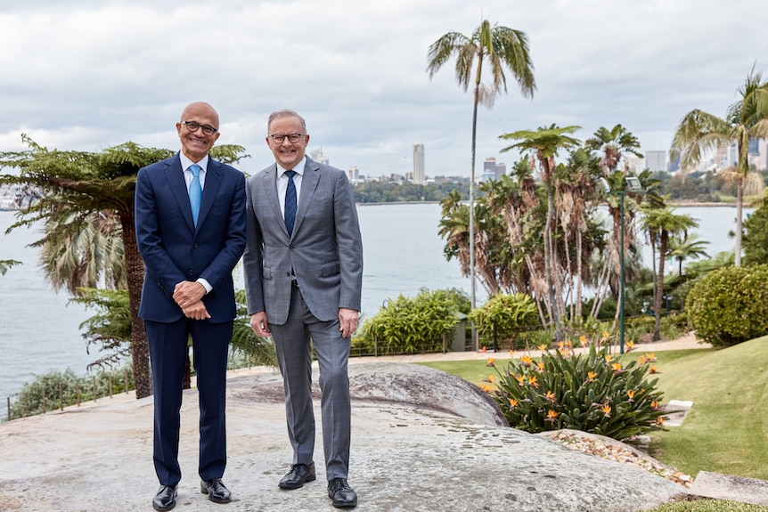 Two men wearing suits stand on a rock in front of the Sydney city skyline on a sunny day.