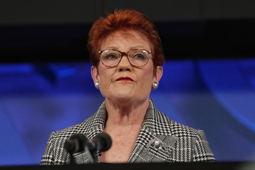 A red-haired woman in glasses and a houndstooth jacket — Pauline Hanson — stands at a lectern.