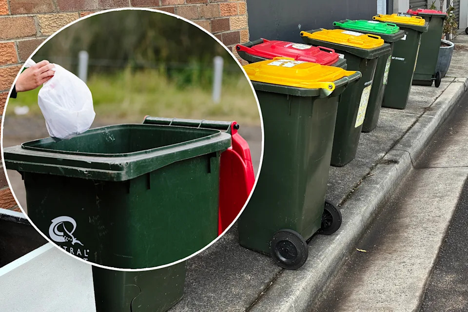 Bins lined up in the kerb. Inset: Person throws garbage in red bin.