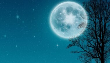 What Is A Blue Moon? An Expert Explains Tonight's Rare Lunar Sighting