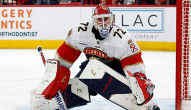 Starters, backups and upside targets: What the NHL goalie market looks like